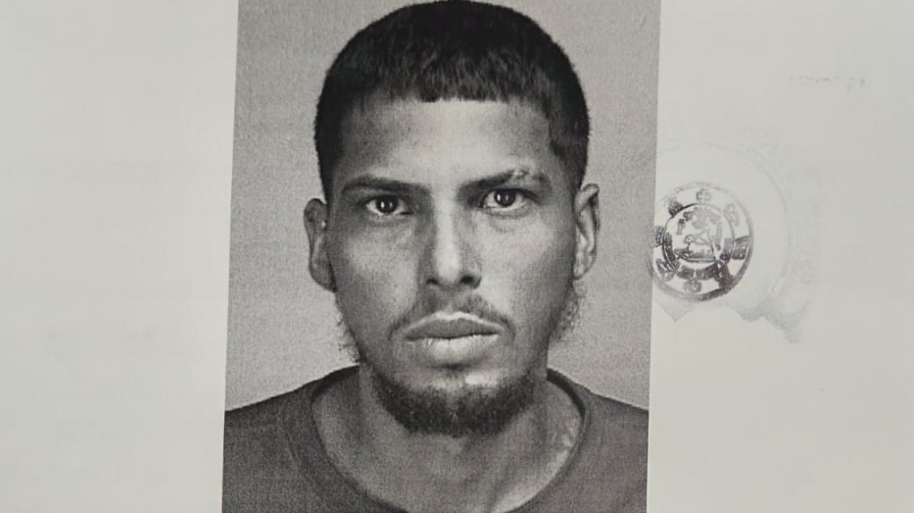  Arrestado por Ley 54 en Bayam&oacute;n 