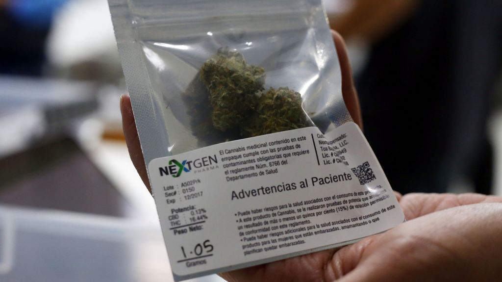  Ente defensor del cannabis medicinal en Puerto Rico apoya investigaci&oacute;n del Senado 