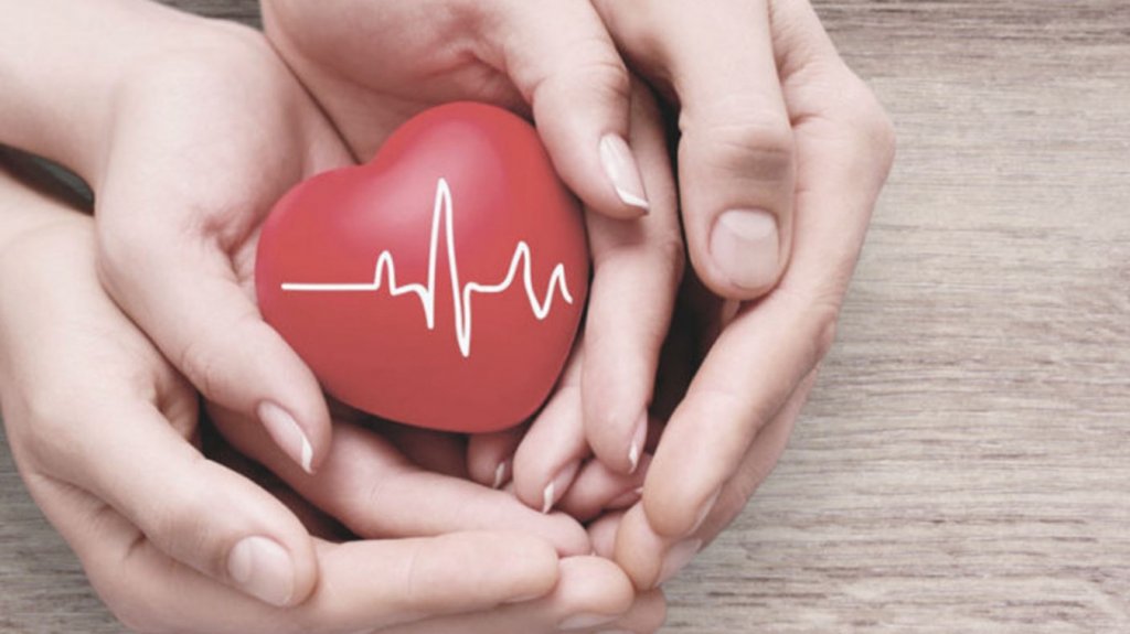  C&aacute;mara aprueba proyecto que establece la salud como un servicio esencial 