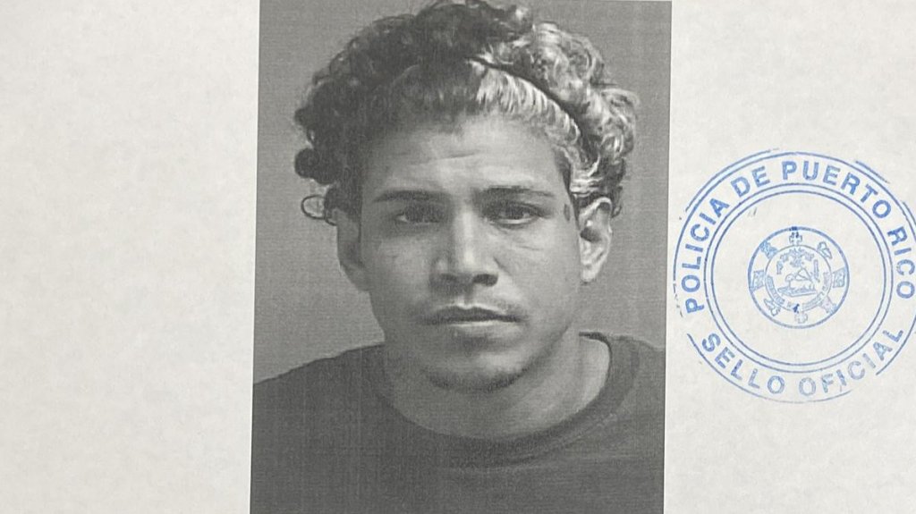  Capturan a individuo en Cayey tras aterrorizar a su madre y desobedecer orden de protecci&oacute;n 