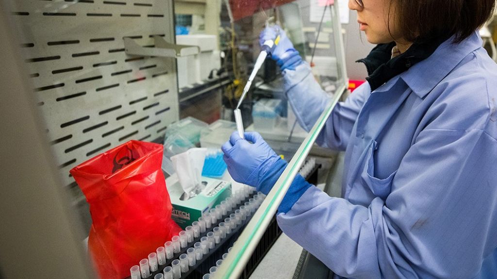  Cient&iacute;ficos hallan medicamento que mata al coronavirus en 48 horas 