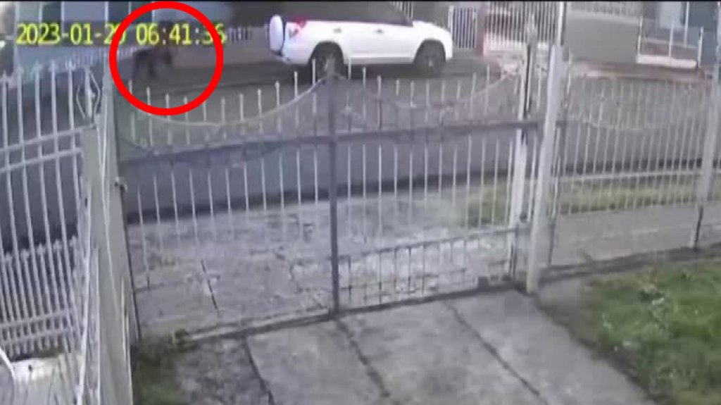 En video momento que vecinos de Caguas arrestan un &ldquo;caco&rdquo; 