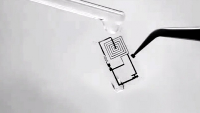 Una baterÃ­a biodegradable se disuelve en el cuerpo despuÃ©s de dispensar tratamiento