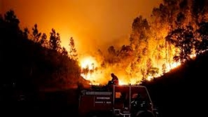 Video: Cerca de 1.000 bomberos combaten dos grandes incendios en Portugal