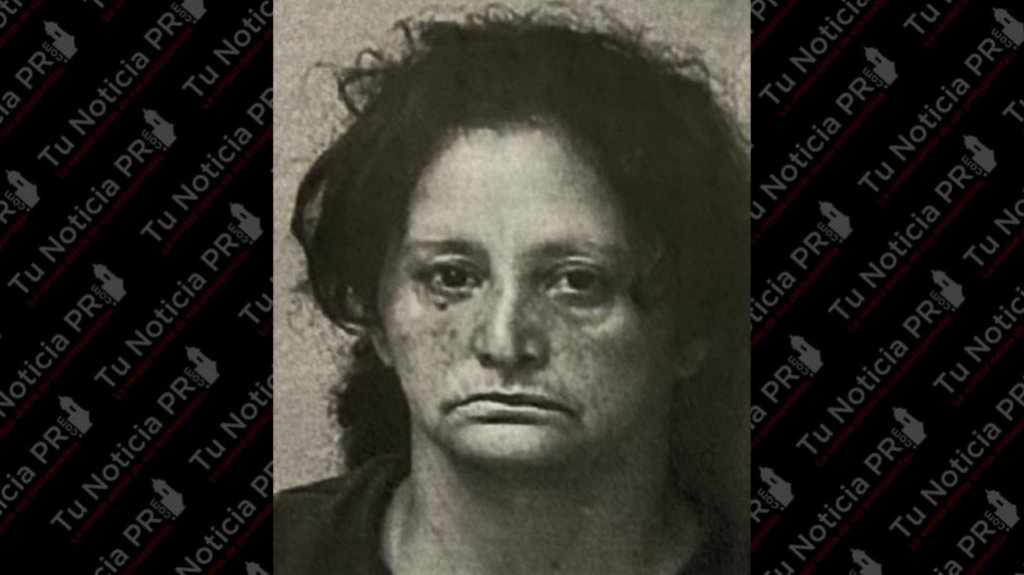  A prisi&oacute;n mujer que rob&oacute; guagua y fue arrestada minutos despu&eacute;s 