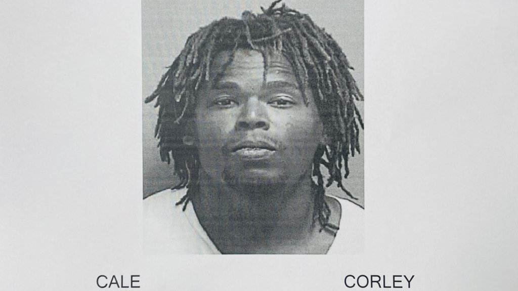  A la c&aacute;rcel por Ley 54 en Utuado 