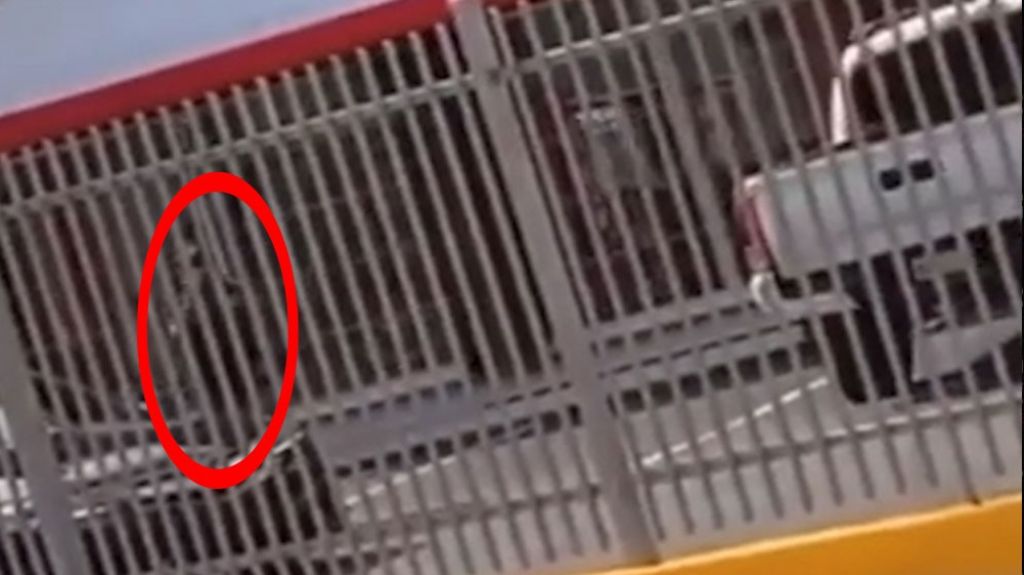  Video: Pierde su fama &ldquo;El Rey Charlie&rdquo; ciudadanos lo insultan cuando lo ven en la calle 