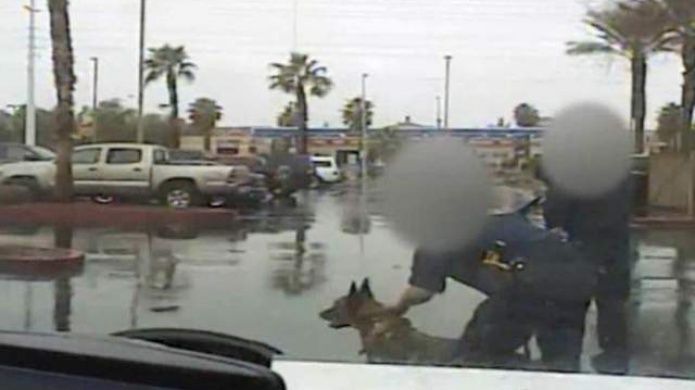 Video: Un perro policÃ­a muerde a una niÃ±a de 17 meses  en Nevada, EE.UU.