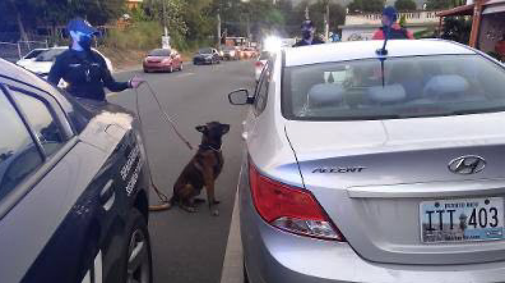  Arrestan un hombre con 2 armas de fuego y can de la polic&iacute;a descubre drogas en un auto estacionado en Juan Diaz 