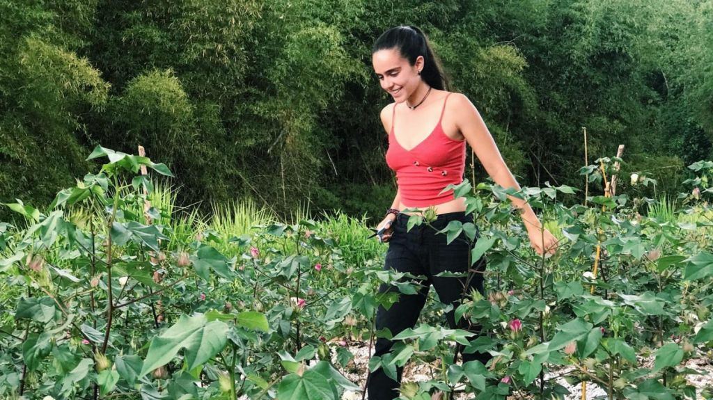  UPR Utuado cosecha primeros graduandos de Agricultura Sustentable 