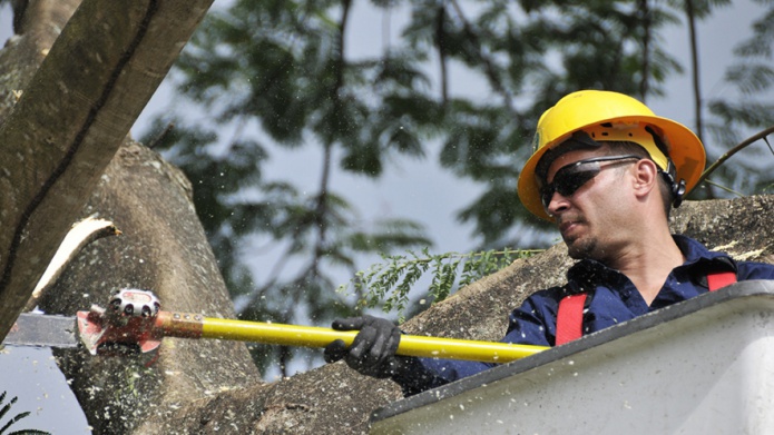 AEE CELEBRA FERIA DE SERVICIOS E IMPACTO COMUNITARIO EN COROZAL
