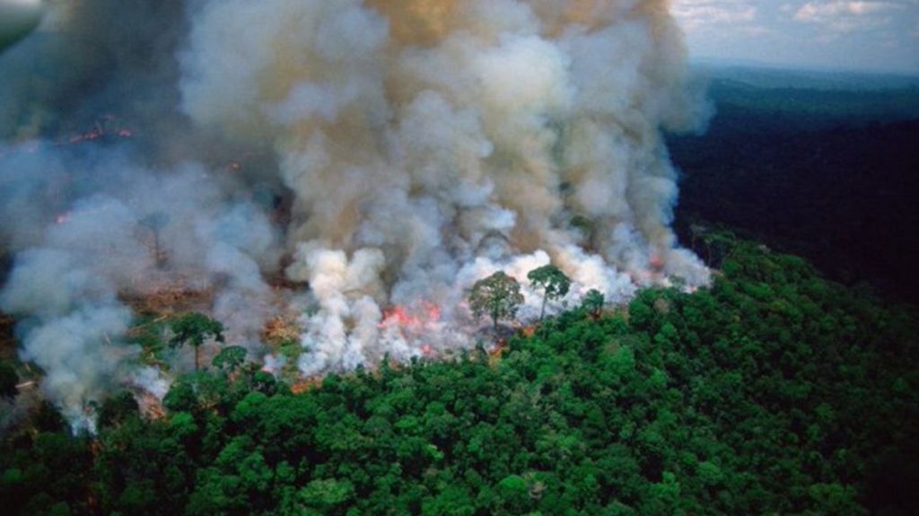  Vea video: La regi&oacute;n amaz&oacute;nica brasile&ntilde;a sufre los peores incendios forestales de los &uacute;ltimos a&ntilde;os 