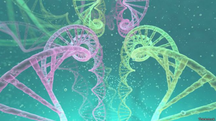 Las vacunas de ADN que pueden revolucionar la inmunizaciÃ³n (y prescindir de las agujas)