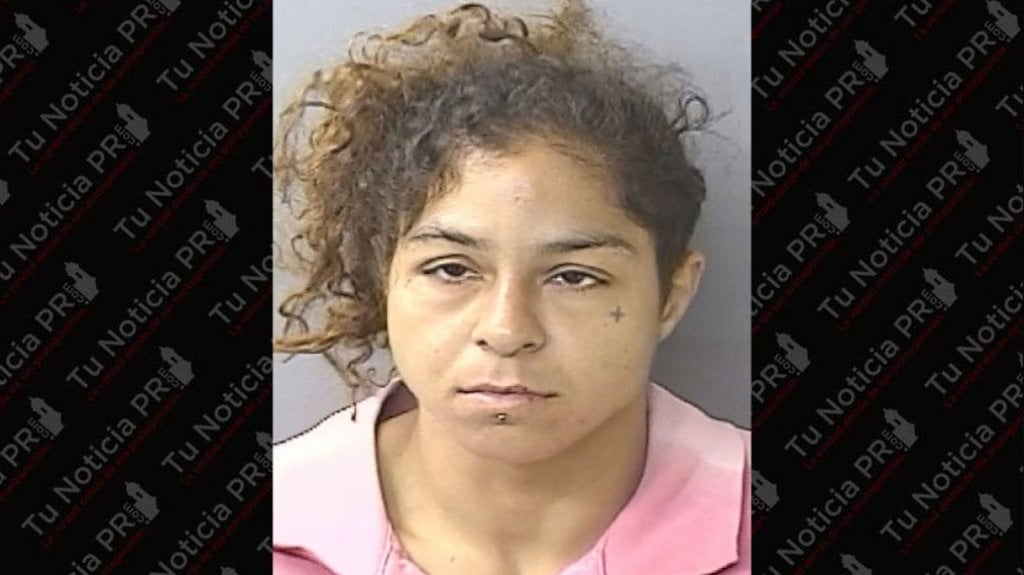  En la cárcel mujer que le “Mandó” con una piedra al cristal de una patrulla en Aguadilla 