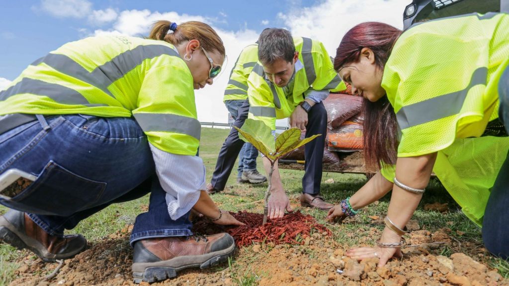  Comienzan reforestaci&oacute;n en la PR-22 en celebraci&oacute;n del Mes del Planeta Tierra 