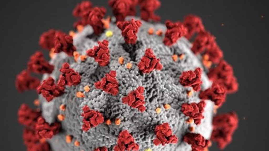  Salud reporta 7 muertes, 434 casos confirmadospor COVID-19 