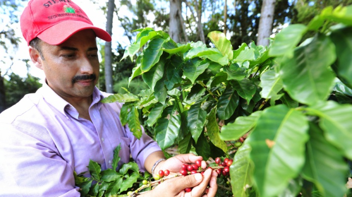 Ante inminentes recortes, senador defiende la gestiÃ³n de la Secretaria de Agricultura.