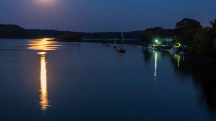 ResoluciÃ³n para investigar de 
inmediato el caso de la Laguna Bioluminiscente de Fajardo 
