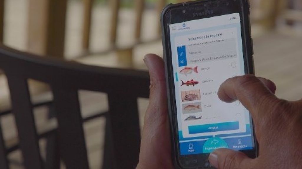  DRNA insta a los pescadores comerciales a someter sus estad&iacute;sticas pesqueras 