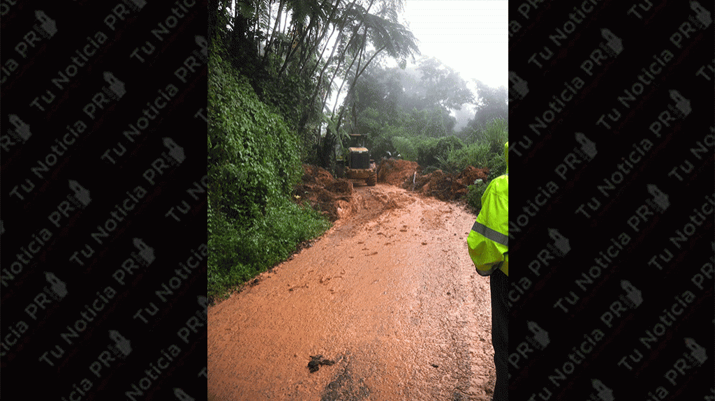  Incomunicadas 12 familias por derrumbes en Utuado 