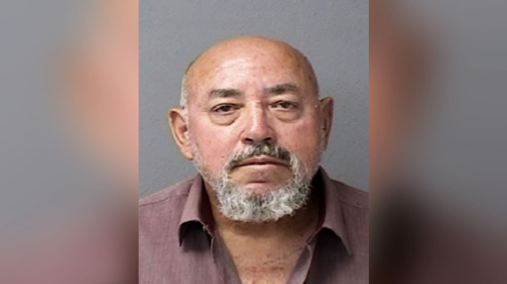  Acusan a &ldquo;El Power&rdquo; por ahogar a un gato en una piscina en Arecibo 