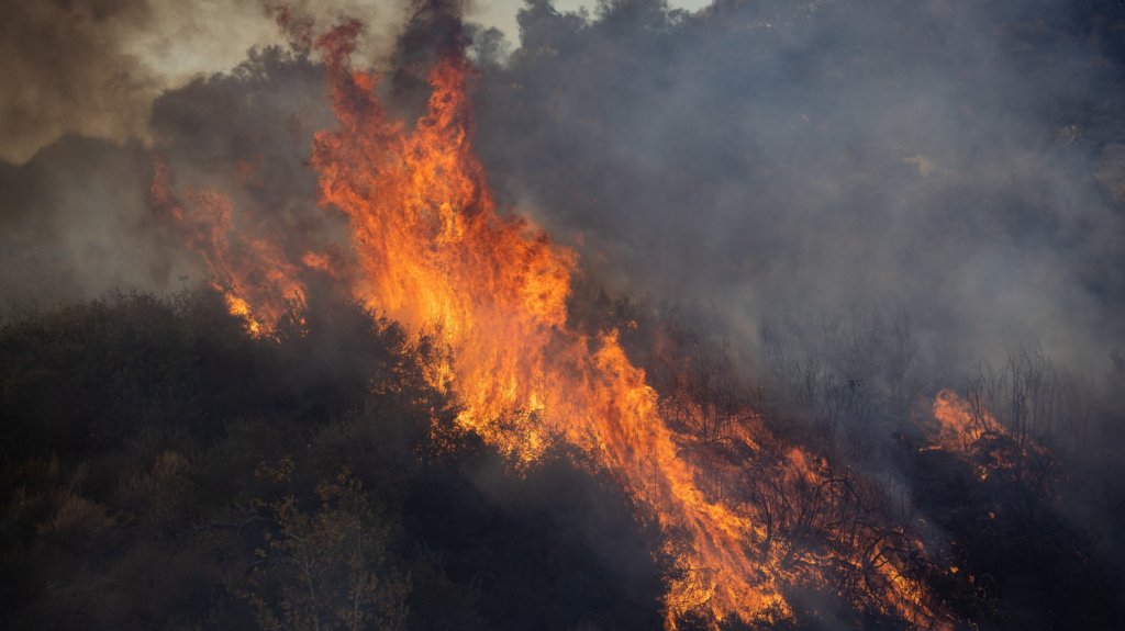  Un incendio al sur de Los &Aacute;ngeles obliga a evacuar unas 25.000 personas 