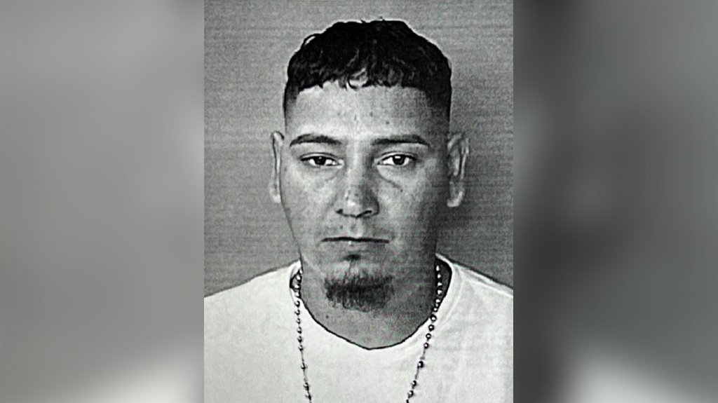  Acusan a “Caco” por robar en Home Depot de Mayagüez 