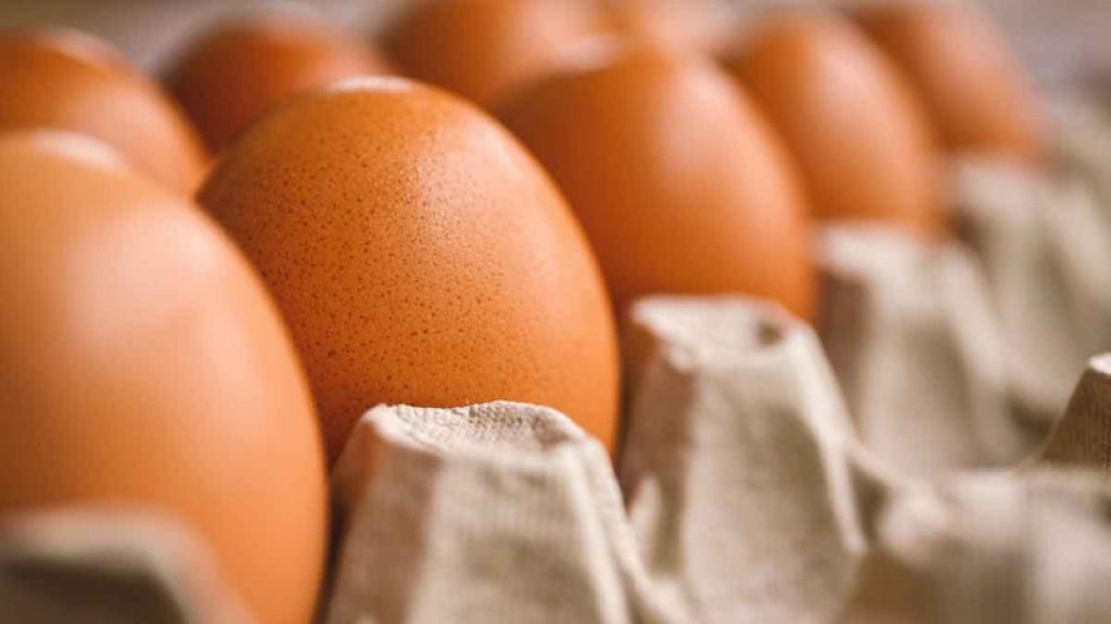  Prohíben el cruce de huevo mexicano a EE.UU. tras dispararse su precio 