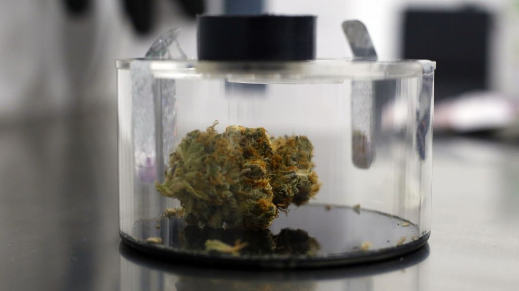  Lanzan aceite de cannabis con hierbas medicinales puertorrique&ntilde;as 