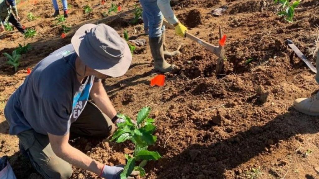  Senadora V&aacute;zquez Nieves anuncia ambicioso plan para plantar 100 mil &aacute;rboles 