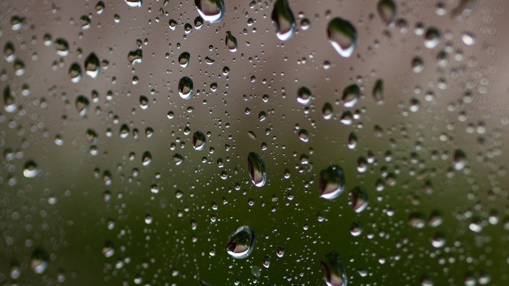  Resumen del Tiempo 23 de agosto 