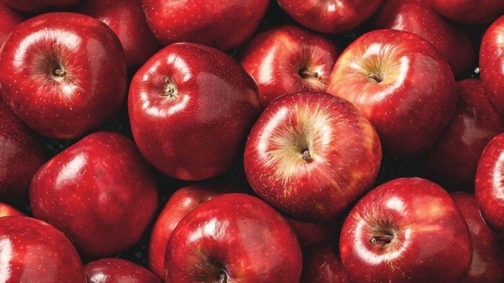  Aseguran manzanas distribuidas en Puerto Rico no están afectadas por brote de listeria 