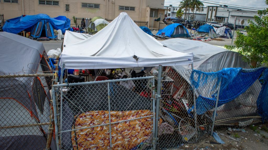  Vea video: Colonia de 253 "depredadores sexuales" no tiene d&oacute;nde vivir en Miami 