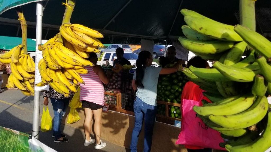  Inversi&oacute;n de 5millones para ayudar a familias a adquirir alimentos cosechados en la Isla 