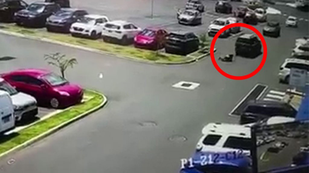  En video momento en que &ldquo;caco&rdquo; le roba a una mujer en Bayam&oacute;n 