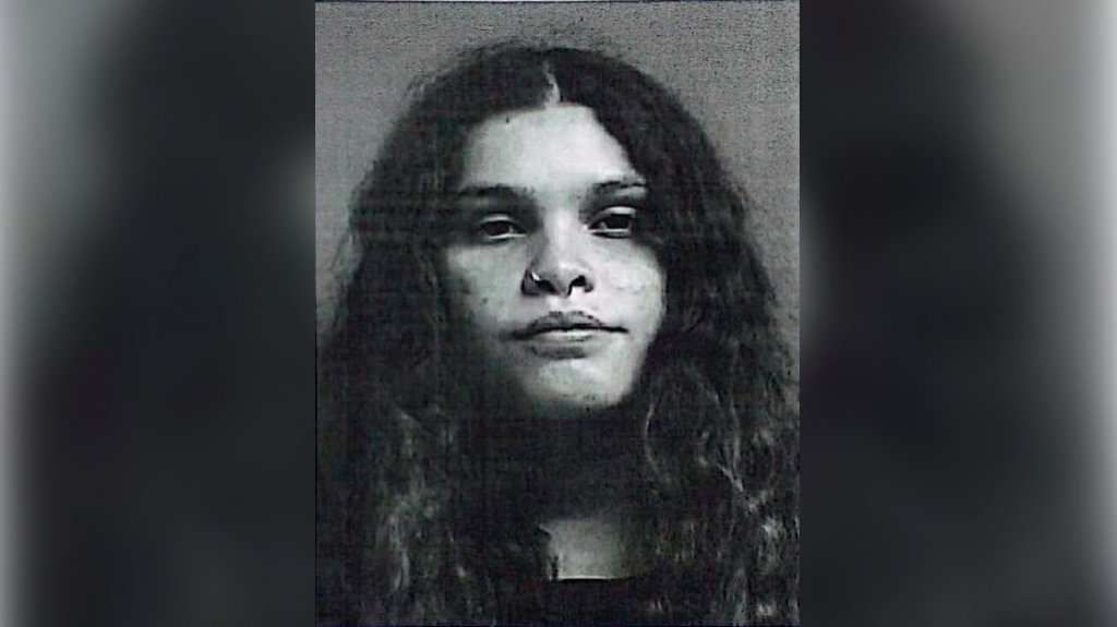  Radican cargos a mujer por Ley 54 en Gurabo 