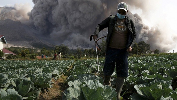 Â¿El autismo se causa por lo que comemos? Nuevo estudio sobre fungicidas lo explica