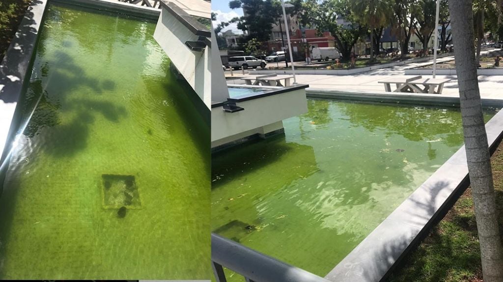 Video: Agua verde, limo y mosquitos es lo que tienen las fuentes de la plaza de Convalecencia en Rio Piedras 