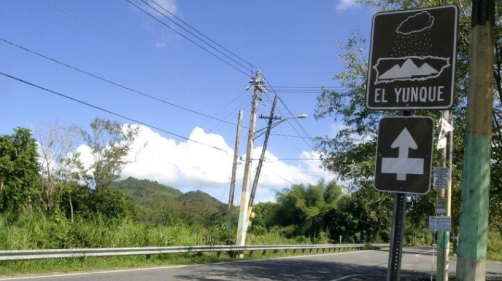  Encuentran Turistas Reportados Desaparecidos en El Yunque 