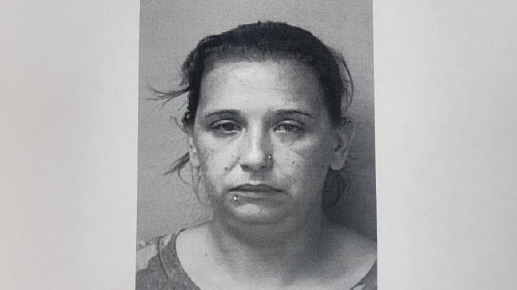  Radican cargos a mujer en Arecibo por violencia doméstica, tentativa y violación a la ley de armas 