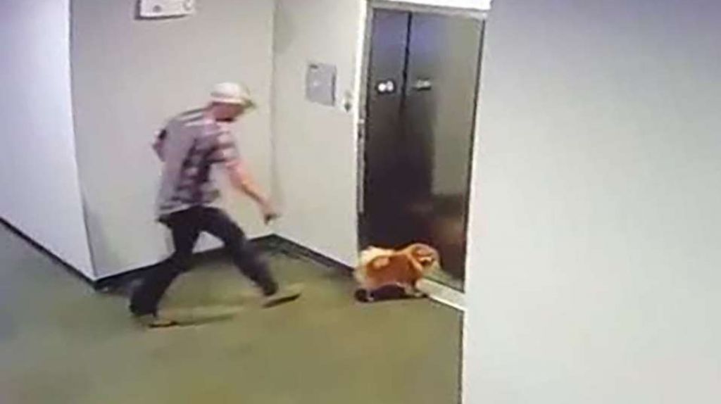  Video: Momento en que hombre salva un perro de morir en un asensor 