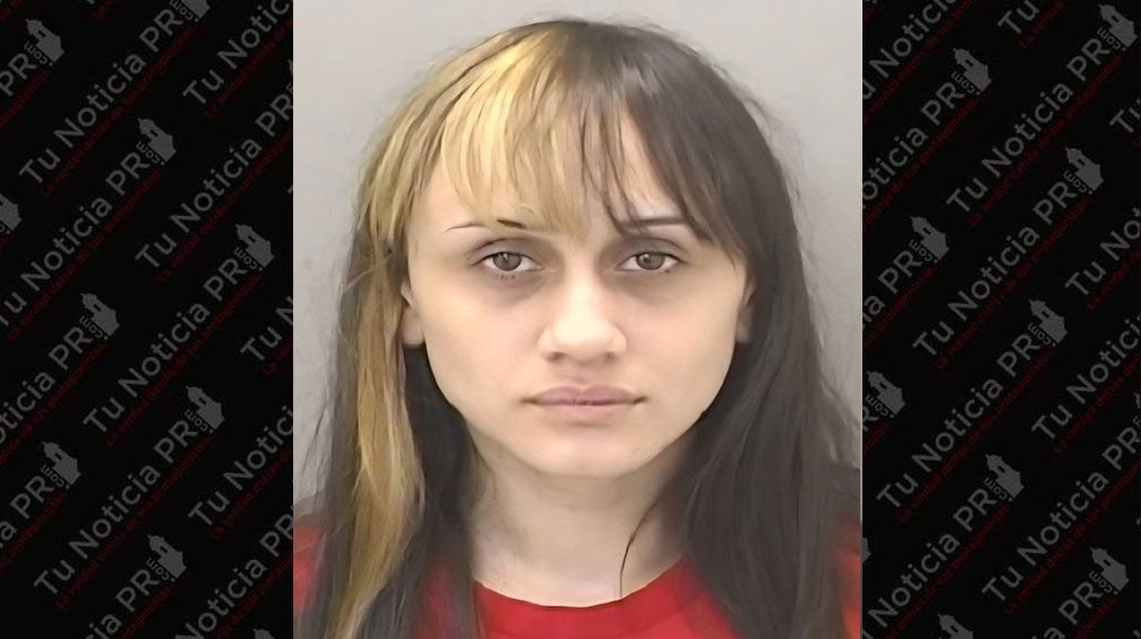  A la cárcel mujer que agredió a su indefensa pareja en Toa Alta 