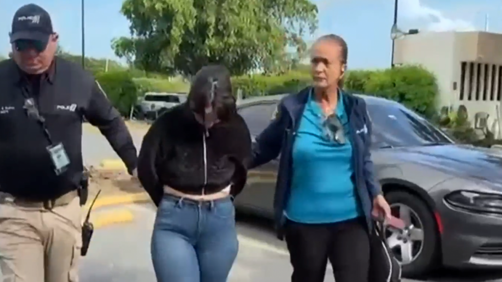  Video: Así salió del tribunal luego que radicaran cargos a mujer que dejos sus hijos dentro de un auto en centro comercial de Ponce 