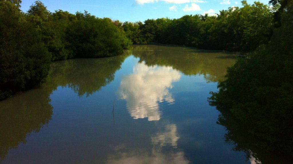  Congresistas instan a agencias federales a financiar la restauraci&oacute;n del Ca&ntilde;o Mart&iacute;n Pe&ntilde;a 