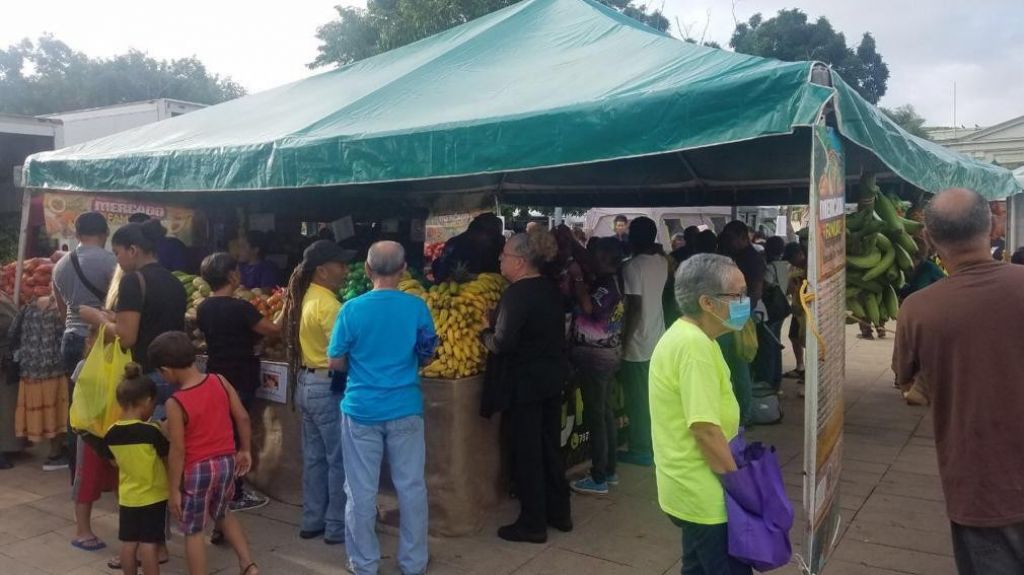  Agricultura lleva mercado a Vieques para completar 76 municipios 