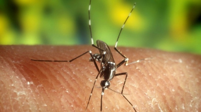   Hacen llamado a ser mÃ¡s asertivos en prevenir, el virus del Zika en Puerto Rico