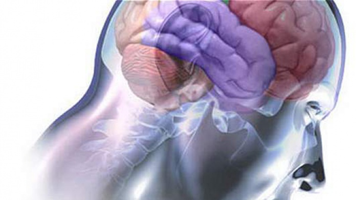 Â¿SabÃ­a que existe el virus de la estupidez?