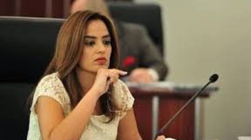  Senadora alega Puertos sab&iacute;a de intentos de fusi&oacute;n de navieras 