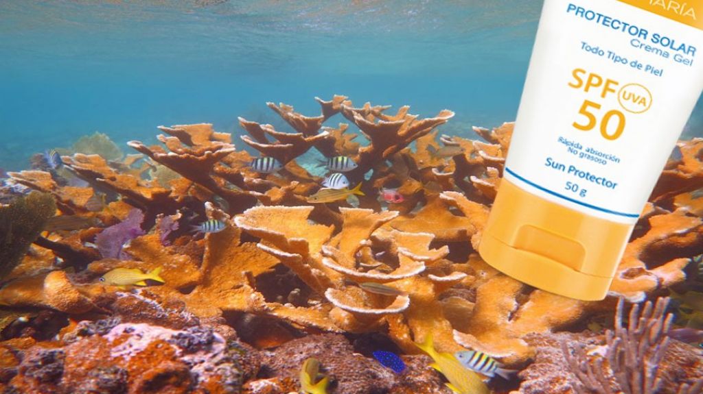  Avalan medida que proh&iacute;be protectores solares por efecto en los arrecifes de coral 