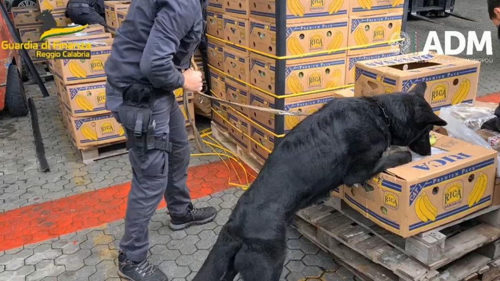  Video: Incautan casi 3 toneladas de cocaína en Italia procedentes de Ecuador 